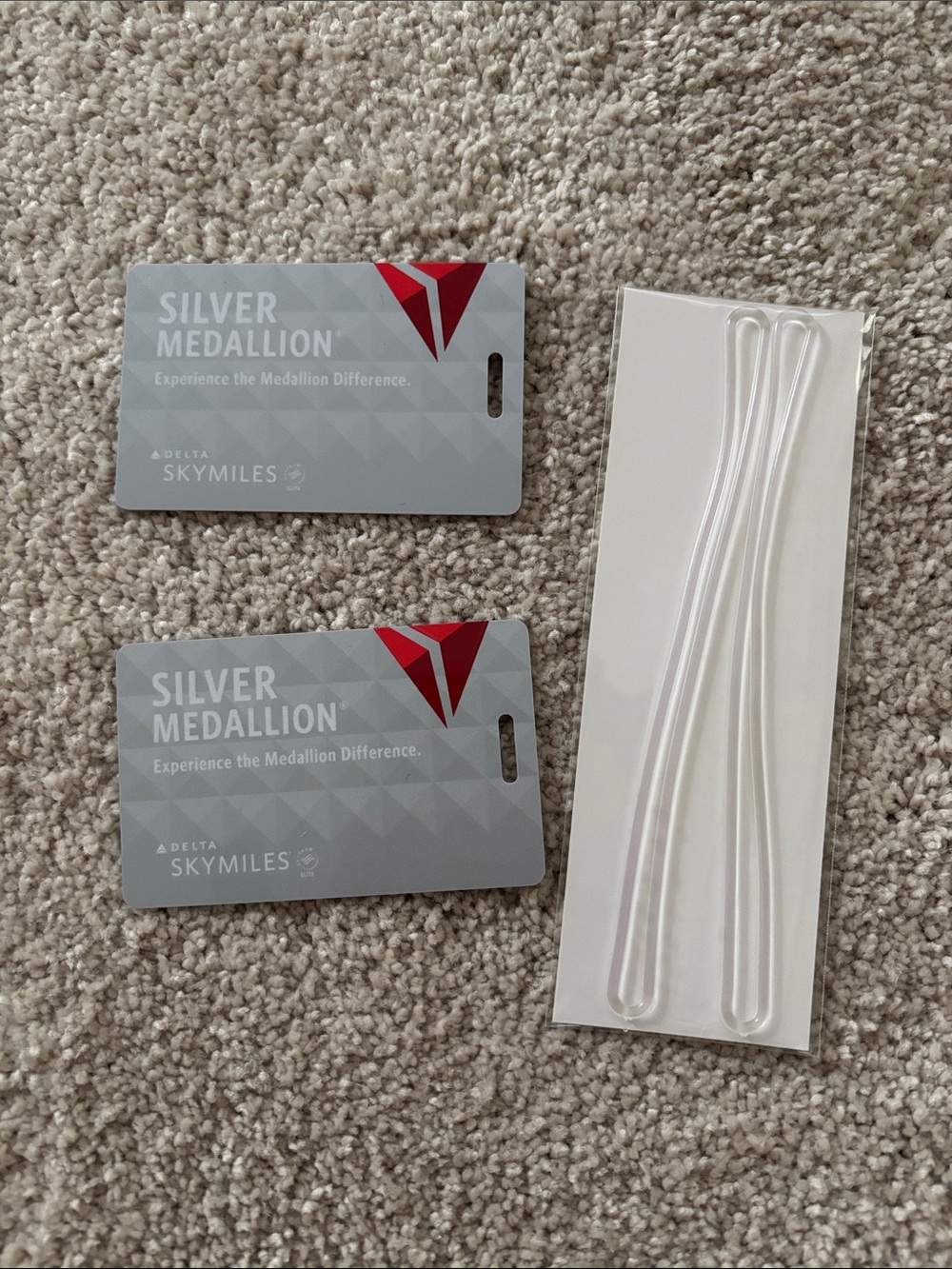 Delta Silver Medallion Bag Tags (Set of 2)